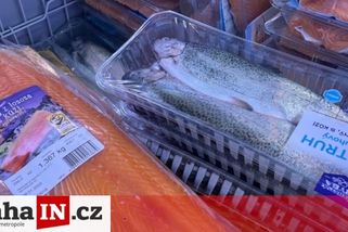 prahain.cz/byznys/proc-nekupujete-ryby-zeptal-se-lidl-smrst-reakci-pokracuje-sedmy-den-17591.html